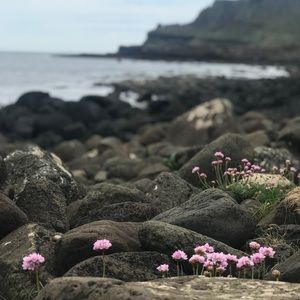 Meet your Posher, Anne-laurence